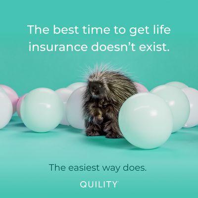 Quility Insurance