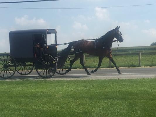 Trip to Amish  Village in Pennsylvania