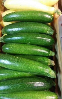 Summer Wind Farms zucchini