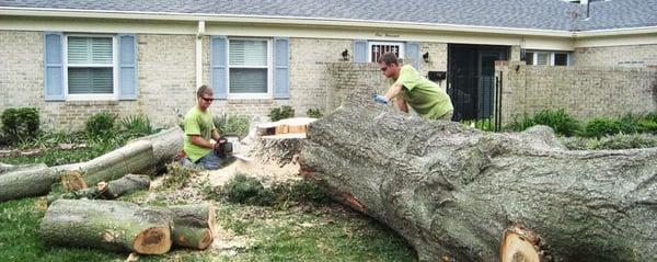 Tree Removal Killeen, TX