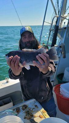 Black Fish (Tautog)
 Fishing Charter