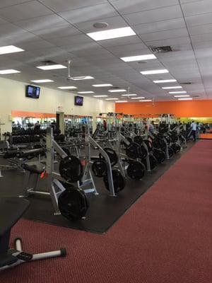 Weights section