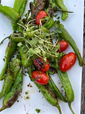 Shisido peppers with tomatoes