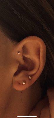 Forward helix piercing done by Niles.