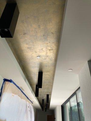 Metallic photo in coffered ceiling