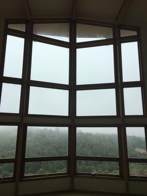 Foggy morning in West Sonoma County good tinting weather for a project like this