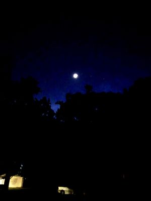 Moon over Lake Platt at Tampa Baptist Conference Center