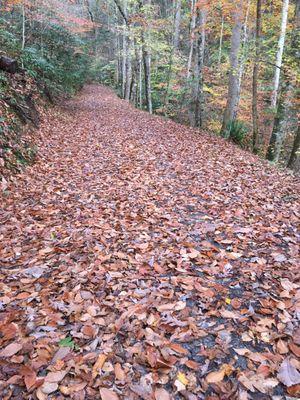 River Bluff Cabins in the Smokies