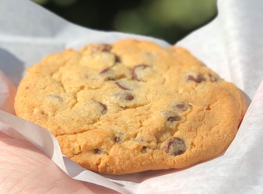 Chocolate Chip Cookie