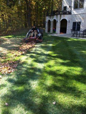 Fall Cleanup & Leaf Removal