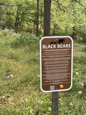 Bear sign