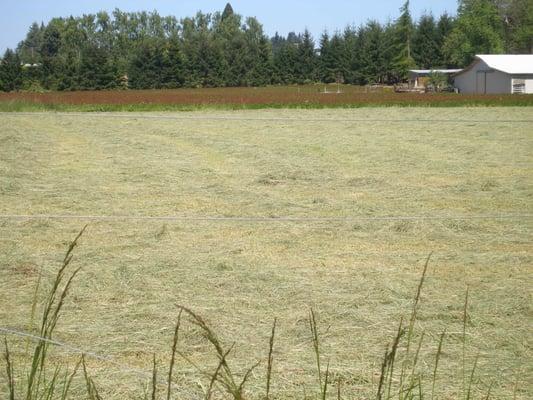 Herrold Stables has harvested its own hay for several years. We farm over 100 acres, and offer hay sales of high quality hay.