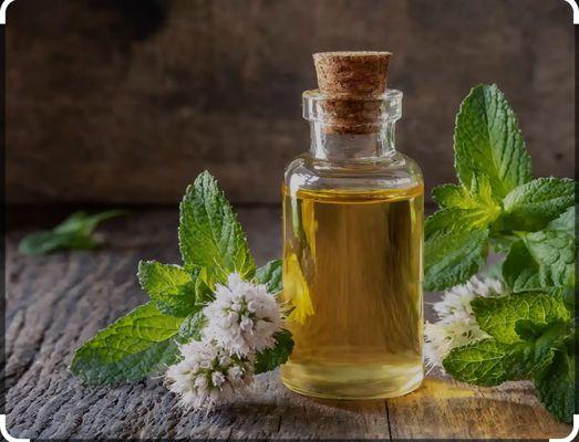 Peppermint oil