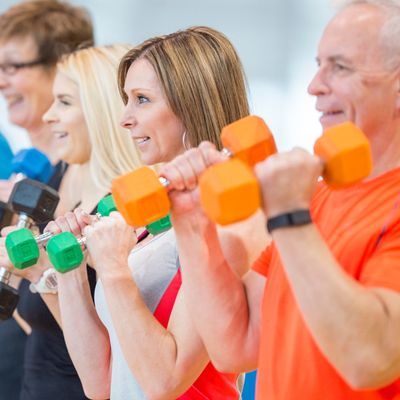 Supportive online group fitness sessions that will motivate you to stay active and develop healthy habits.