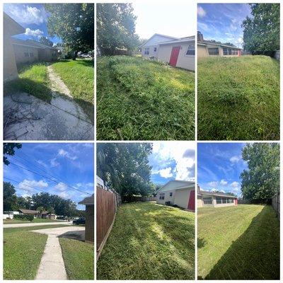 Overgrown lawn. Mowed, edged and trimmed.