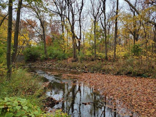 While it's obviously not wheelchair friendly, Cool Creek is ready for those who like to stomp.