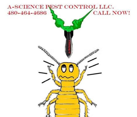 A-Science Termite & Pest Control