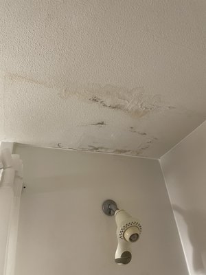 Bath tub shower ceiling needs replacing