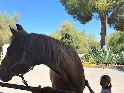 Retirement Equine Boarding Chino Hills, Ca