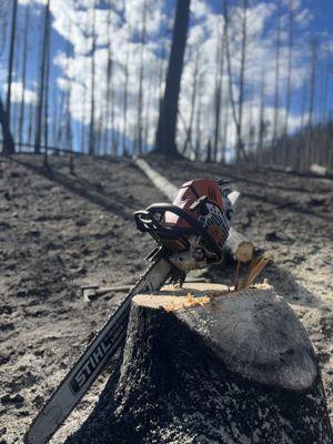 Wildfire cleanup.