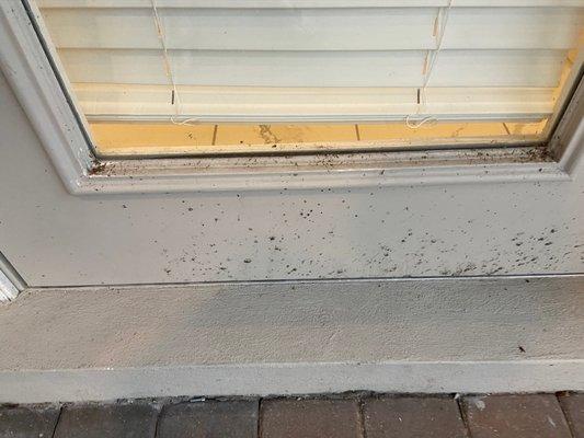 Filthy window sills not cleaned for months