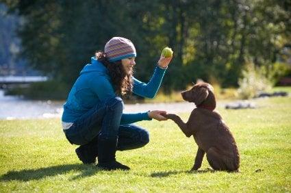 Happy Furry Tails