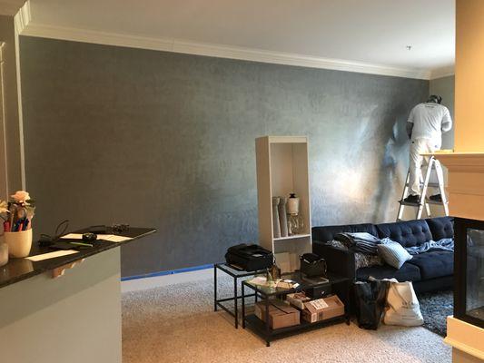 Accent walls with Brushed Pearl- Painting