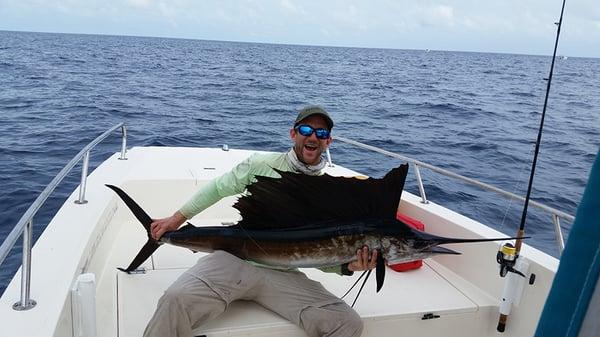 Rare Sailfish