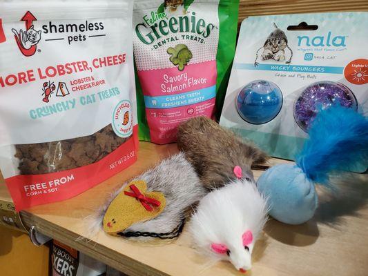 All of the items that I bought for my sweet Benjamin Kitty at Sam's today, except for the peacock feather toy!