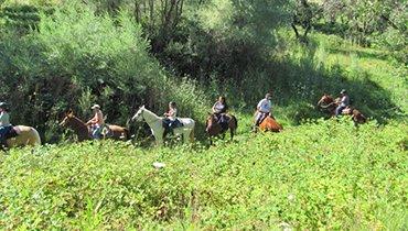 Trail Riding - Horseback Riding