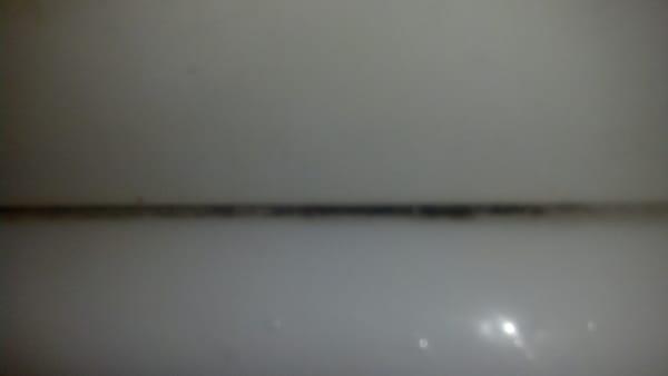 Black mold around tub