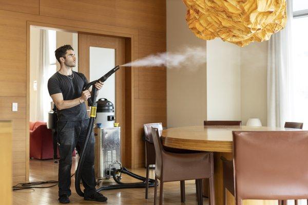 Vapor Steam cleaning for sanitizing.