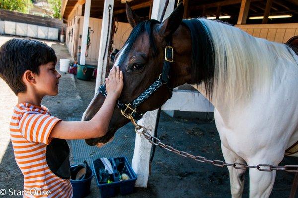 Riding Lessons offer the opportunity to create that special bond.