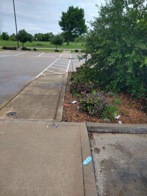 Litter in the landscaping and sidewalk.