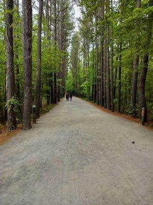 American Tobacco Trail - Chatham & Wake