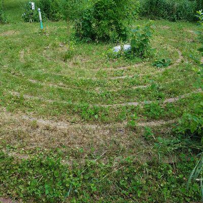 the rings are visible in the mowed area of the park