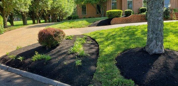 Landscaping/hardscape