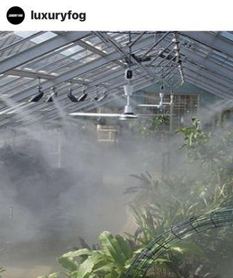 Greenhouse Humidity-As we see the plants are in a perfect climate .. A fully controlled environment.