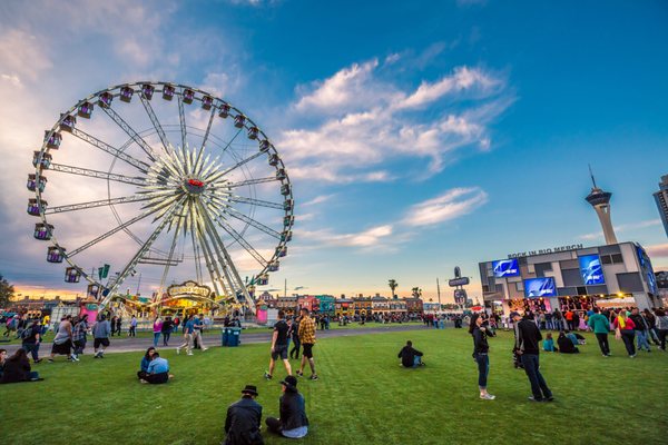 Turfscape Installation - Rock In Rio Festival Las Vegas, NV. 532,800 sq ft Installed.