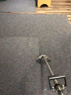 Carpet cleaning with hot water extraction