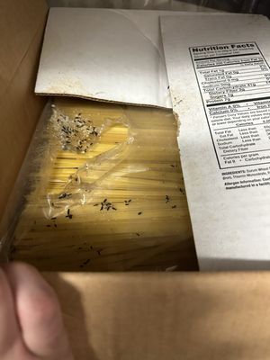 Mice droppings in the pasta