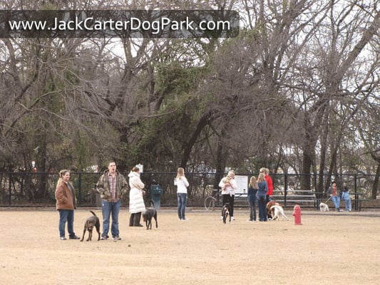 Jack Carter Dog Park in Plano, Texas. http://www.jackcarterdogpark.com/