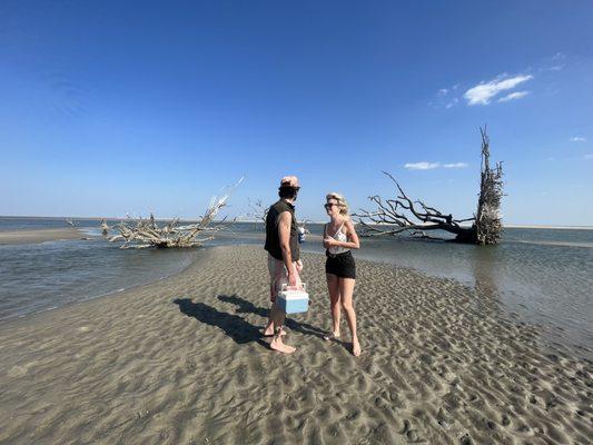 Explore Little Tybee ! Take a picnic and enjoy beach combing with friends