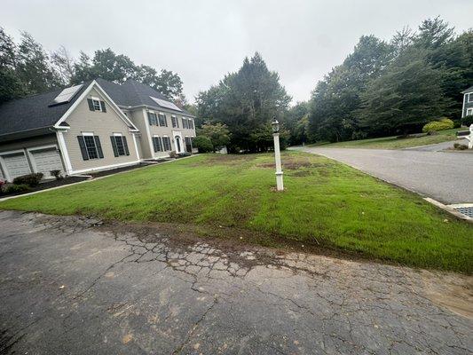 Grass is coming in this hole owner will have the best lawn in the neighborhood shortly. He made the right call