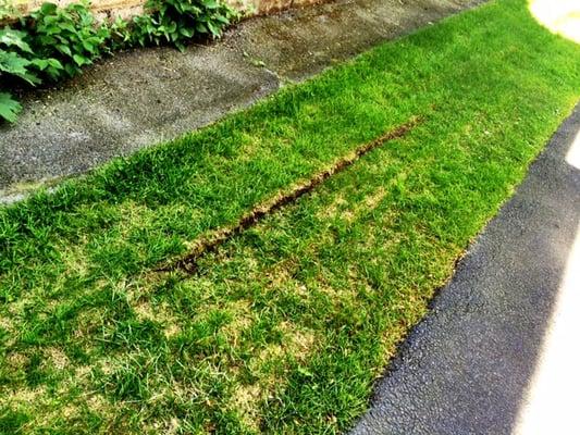 Damage caused to my lawn by JN Phillips tech during a service call.