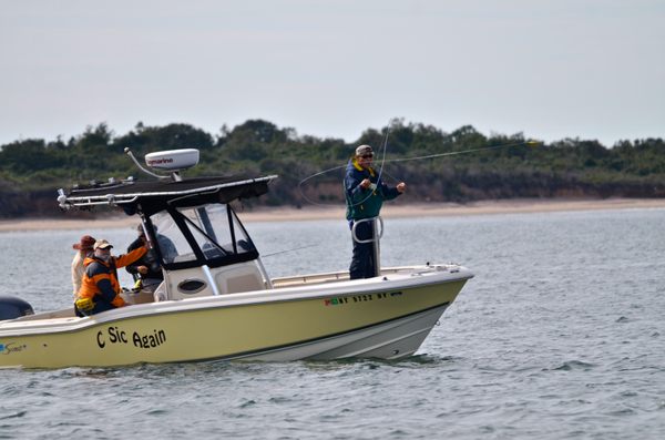 Seacoast Fly Fishing