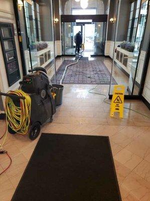 Carpet Cleaning Chicago