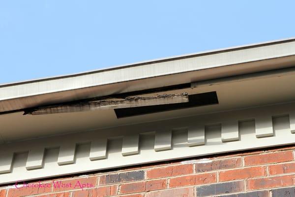 Gutter and facial need replaced