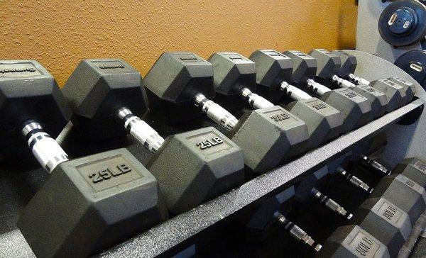 Free Weights