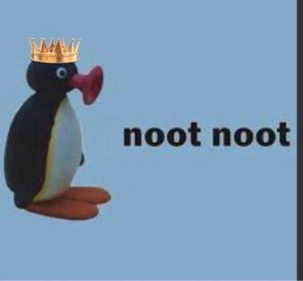 noot king